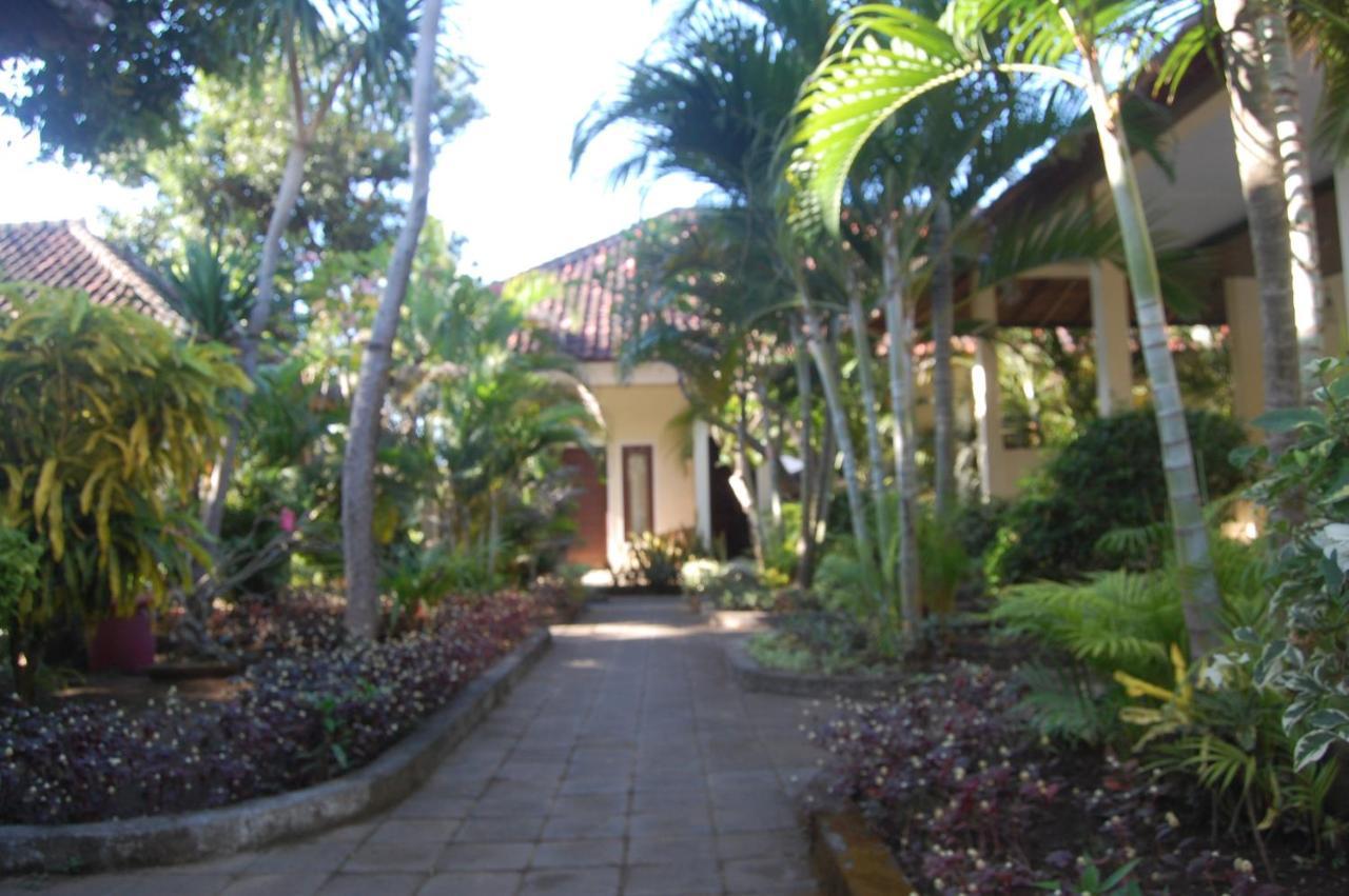 Star East Bungalows Амед Экстерьер фото